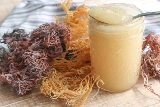 7 Benefits of Sea moss: Natures Secret Weapon